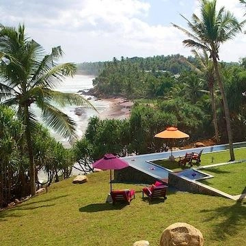 Underneath the Mango Tree | Sri Lanka Underneath the Mango Tree | Sri Lanka