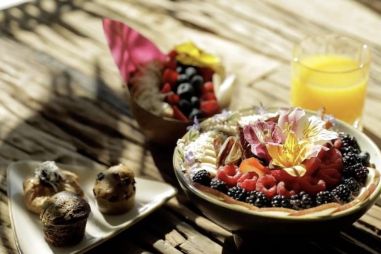 Fan van vegan food of de plantaardige keuken? Wij zetten de mooiste hotels en retreats op een rij waar gezond eten en ontspanning samenkomen.