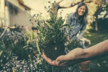 Ontdek de kracht van kruiden zoals lavendel en kamille. Leer hoe u deze kruiden kunt gebruiken voor ontspanning en rust