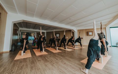 Image for Alpino Atlantico, Madeira