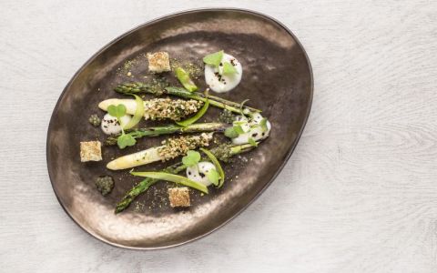 Image for Professionele programma's voor gewichtsverlies