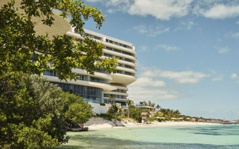 Image for Eerste consulten