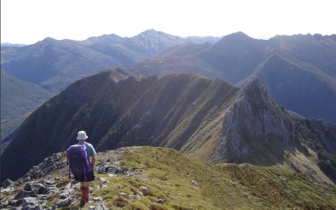 Image for Bhutan's ongerepte natuur