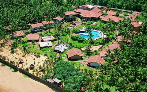 Image for 2. Authentieke Ayurveda: Siddhalepa (Sri Lanka)