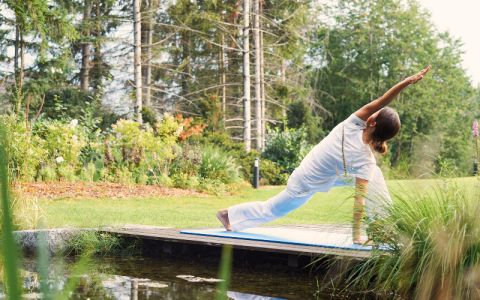 Image for De vier pijlers van Mayr