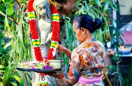 Image for De kracht van de natuur op Bali