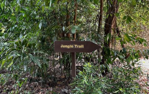 Image for Beste reistijd voor West-Maleisië