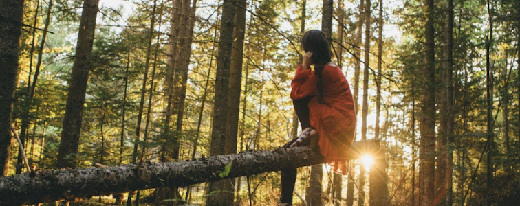 Image for 2. Zintuiglijke ervaring