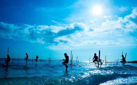 Image for Ayurveda reizen in Sri Lanka