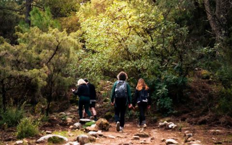 Image for Wandeling in de Natuur