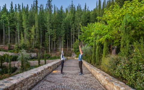 Image for Hoe gezond ben jij zelf?