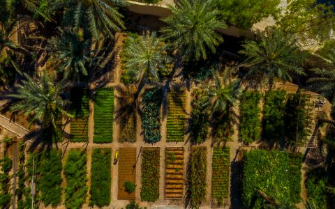 Image for De spa en de wellnessprogramma's in Six Senses Zighy Bay