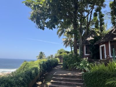 Image for Somatheeram Ayurveda Village