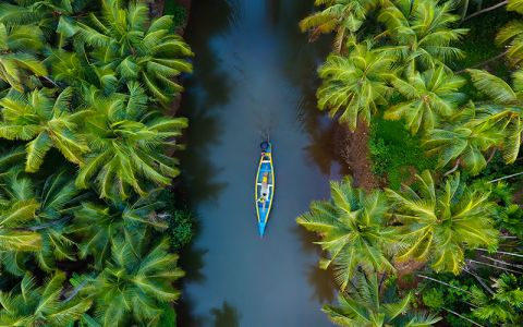 Image for Ayurveda retreats in Kerala