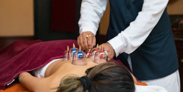 Image for Ananda in the Himalayas