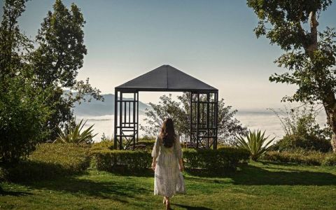 Image for Hoe werkt Gut healing in de praktijk?