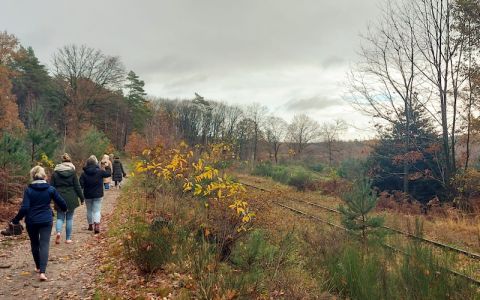 Image for Yoga en Mindfulness Retraites Nederland