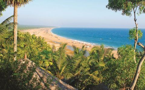 Image for Nikki's Nest, India