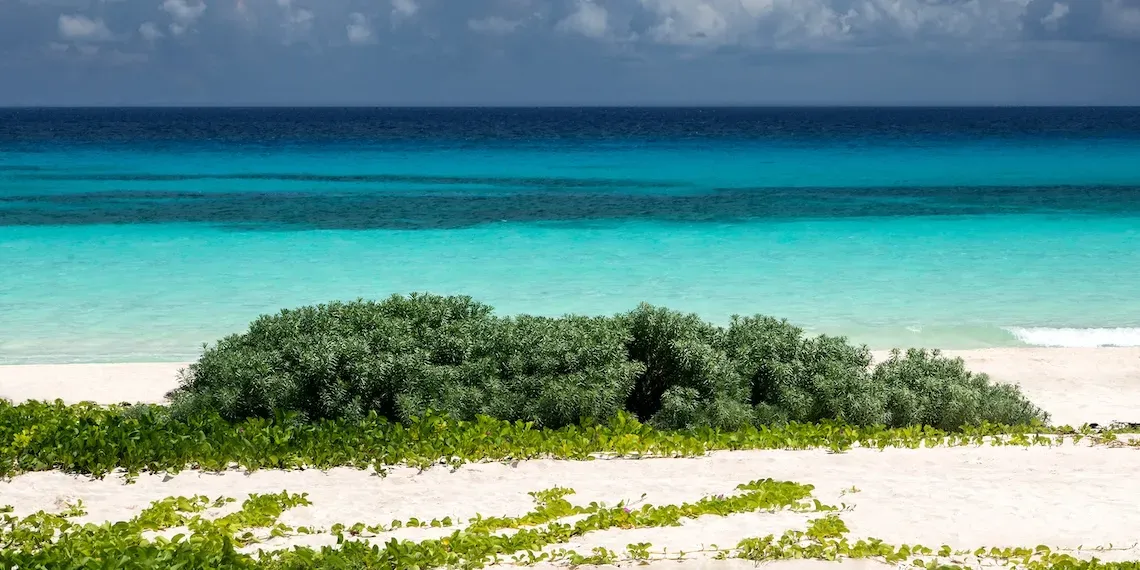 Palmaïa - The House of AïA