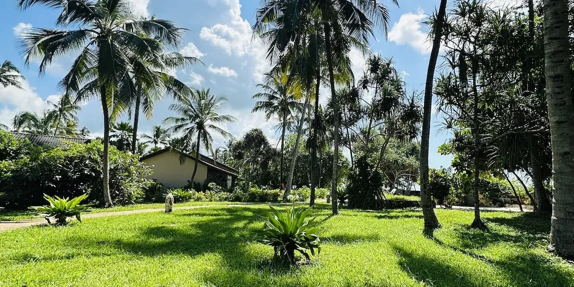 Palumbo Mnemba View - Tuinen