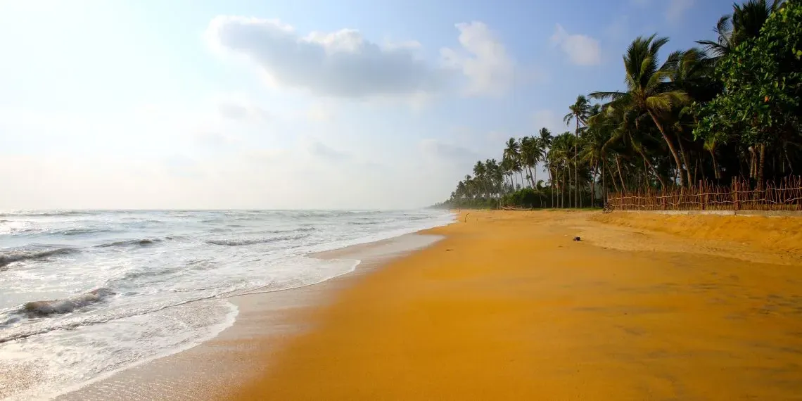 Siddhalepa Ayurveda Health Resort