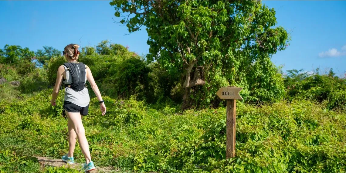 'NEW! Golden Rock Resort'