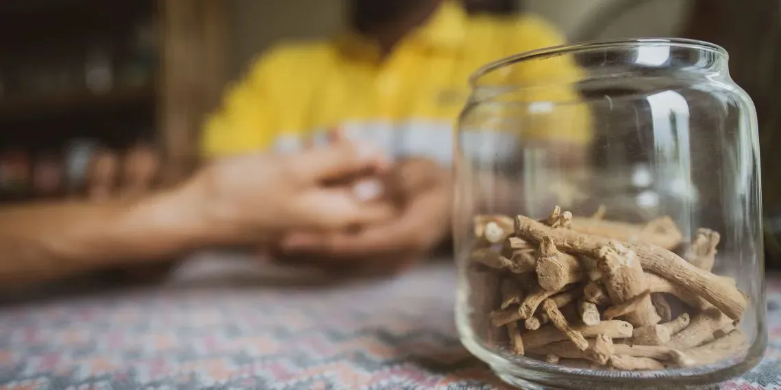 Begnas Lake Resort | Consult