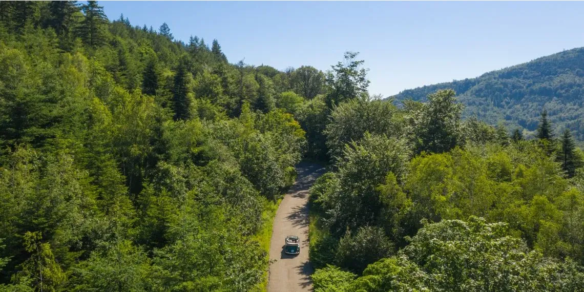 Brenners Park-Hotel & Spa