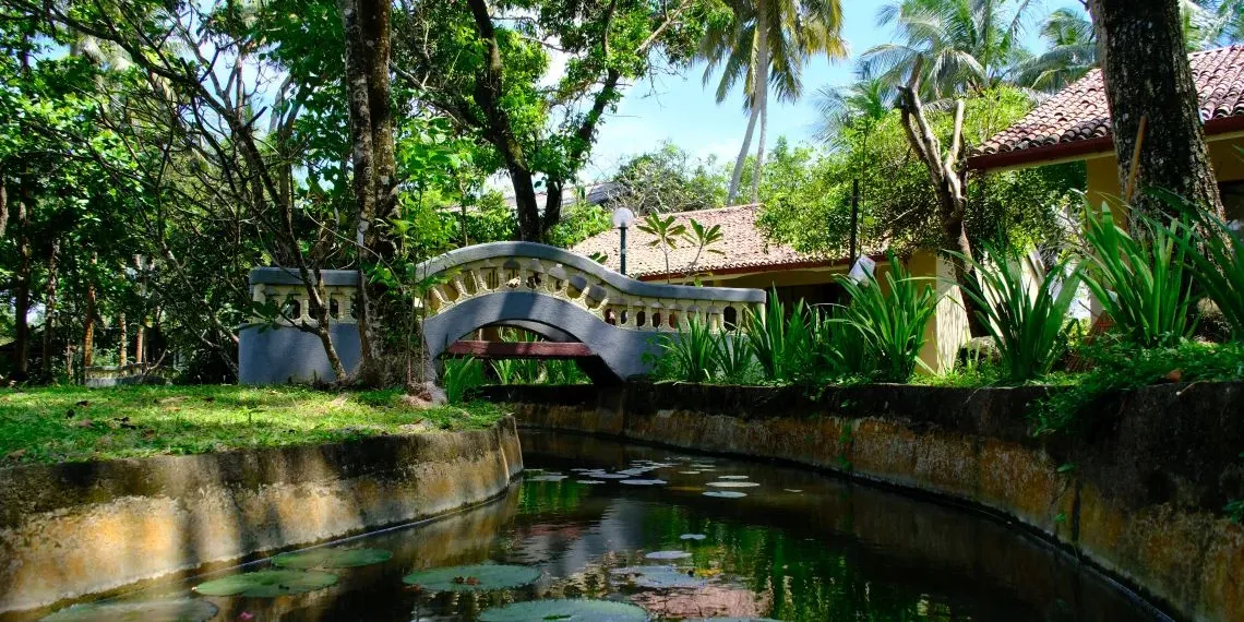 Siddhalepa Ayurveda Health Resort