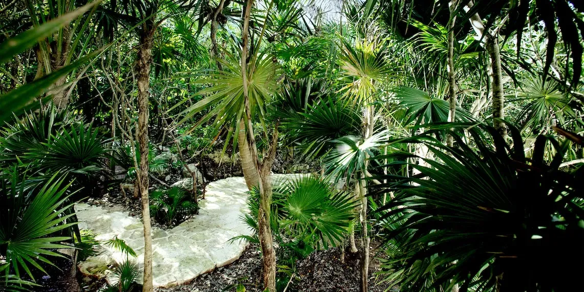 Palmaïa - The House of AïA