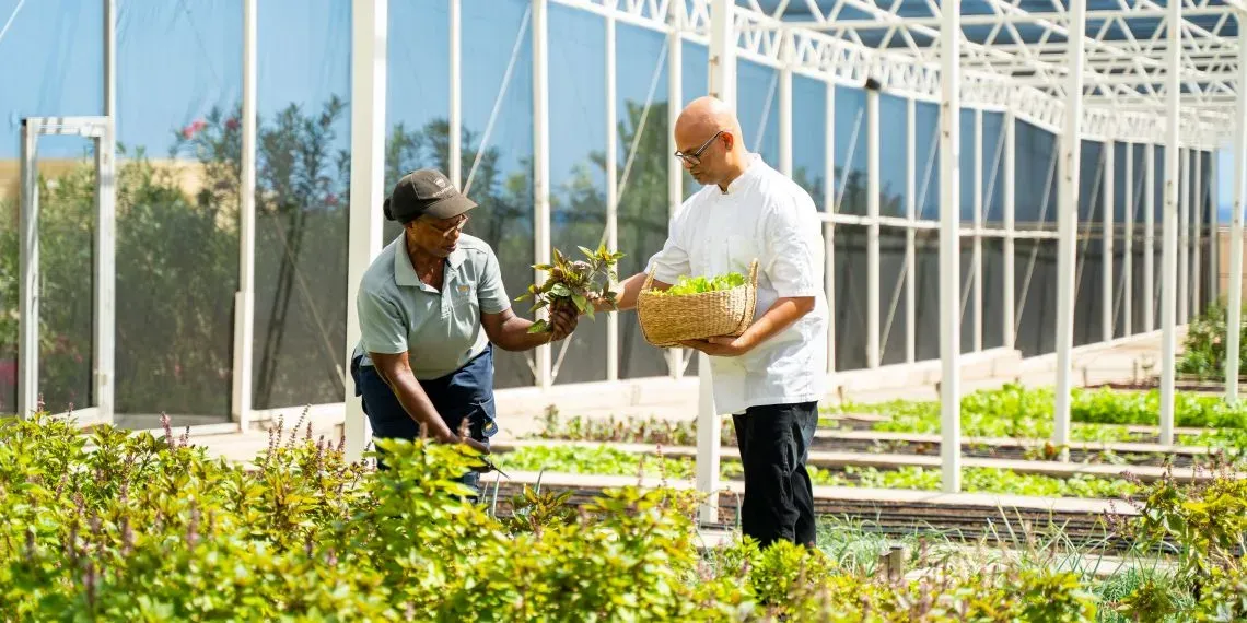 'NEW! Golden Rock Resort'