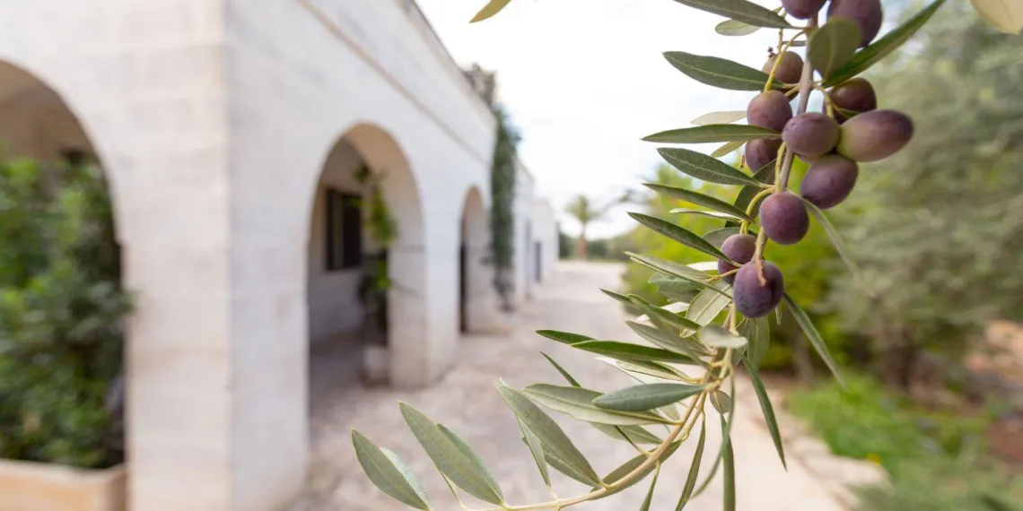 Masseria San Domenico
