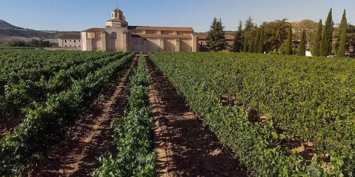 Castilla Termal Monasterio de Valbuena | Wijngaard