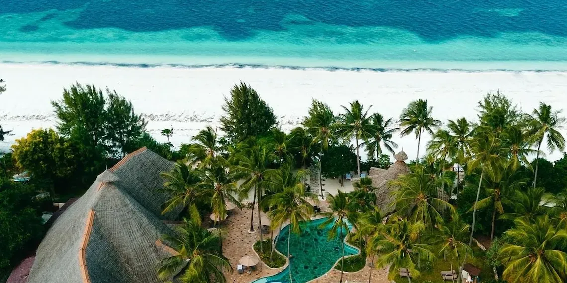 Palumbo Mnemba View - Overview