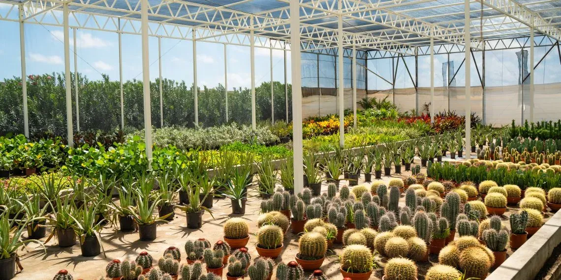 'NEW! Golden Rock Resort'