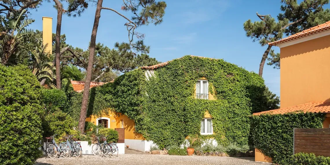 Hotel | Longevity Senses