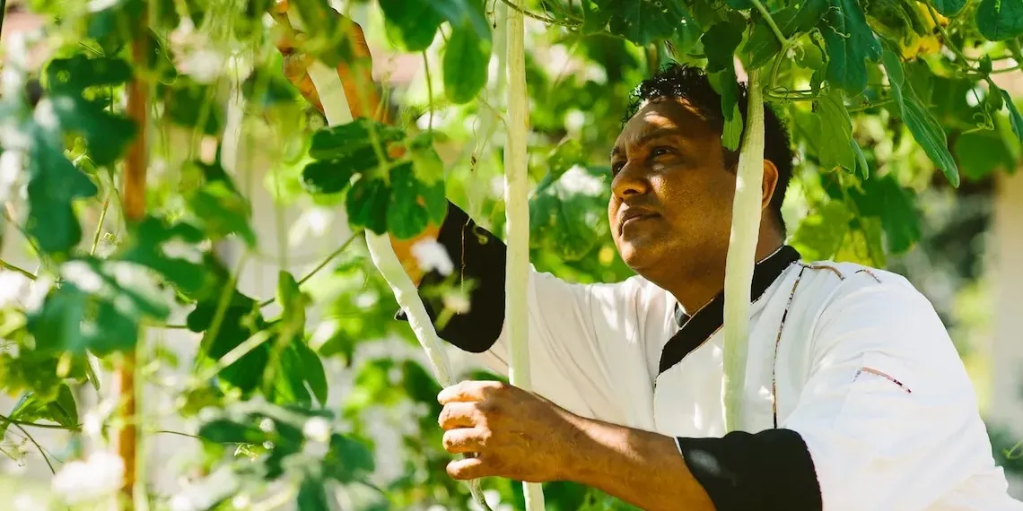 Anantara Peace Haven Tangalle Resort