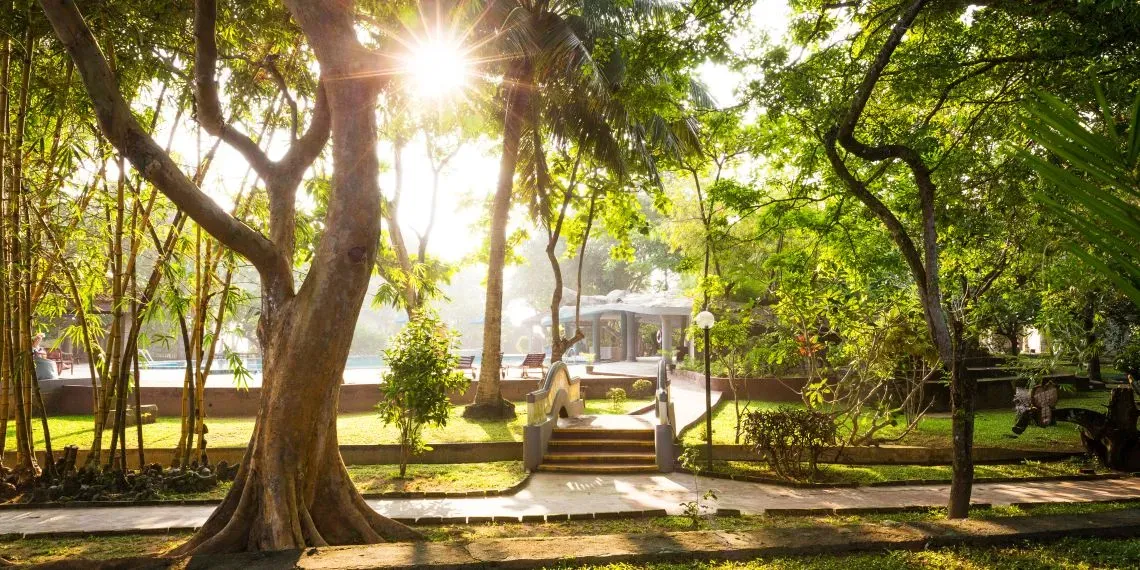 Siddhalepa Ayurveda Health Resort