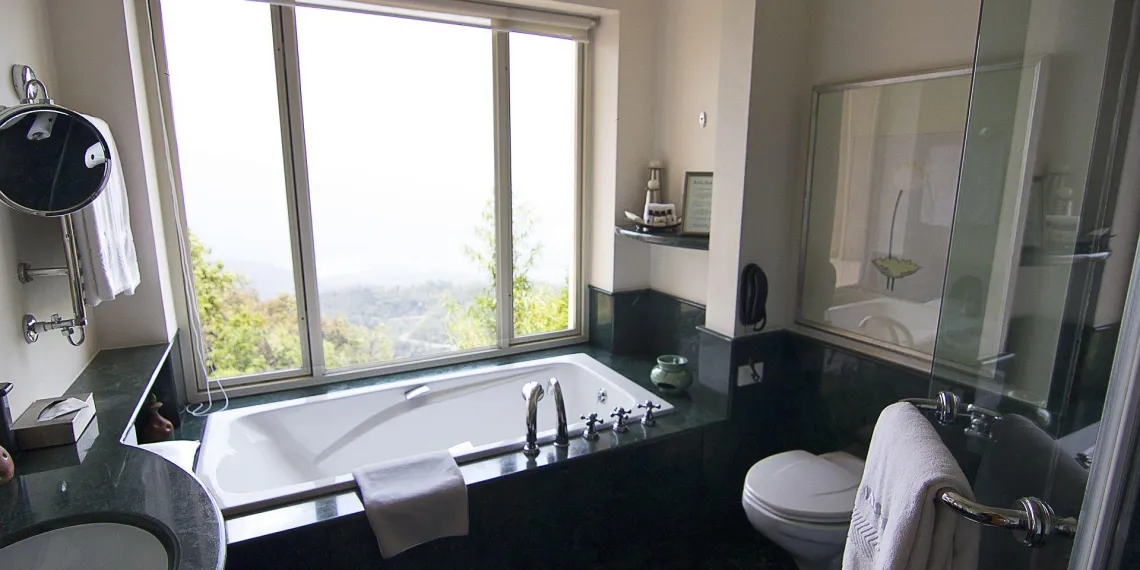 Ananda in the Himalayas