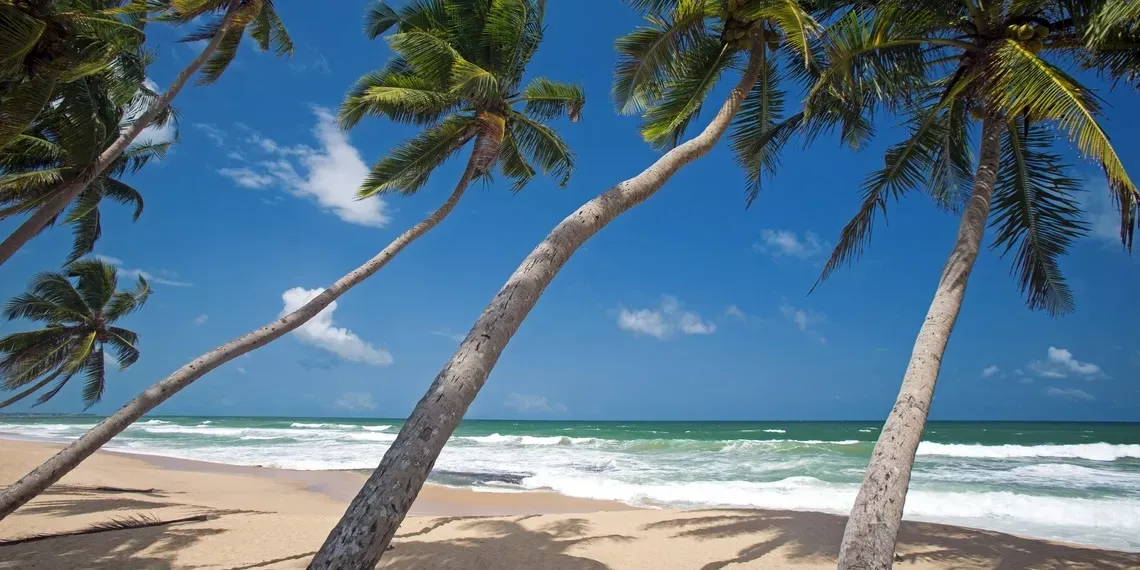 Haritha Villas & Spa