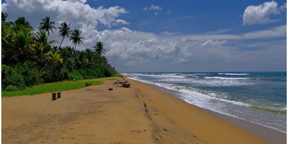 Siddhalepa Ayurveda Health Resort