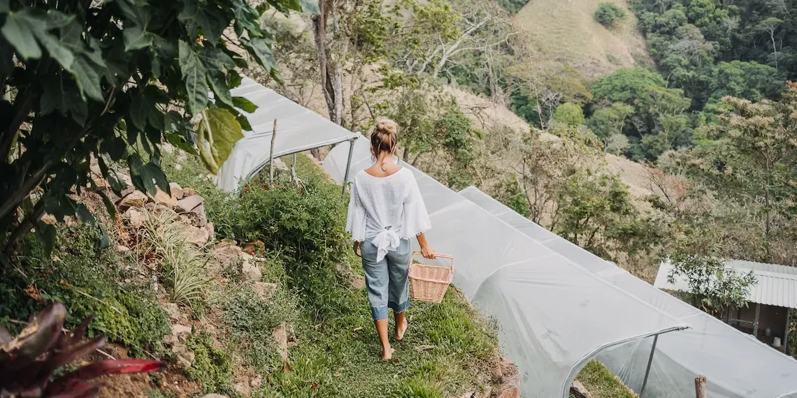 The Retreat Costa Rica