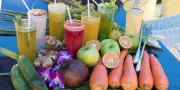 gezonde drankjes Mangosteen Ayurveda & Wellness Resort