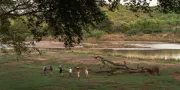 mensen lopen in de natuur langs de rivier