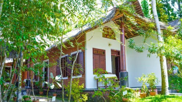 Standaard Kamer | Somatheeram Ayurveda Village