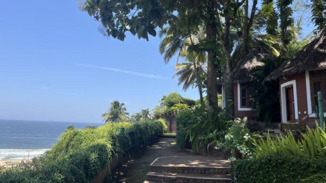 Special Cottage | Somatheeram Ayurveda Village