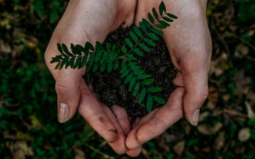Wellnesshotels in de natuur