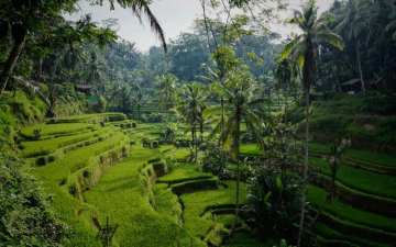 Ayurvedisch kuren op Bali
