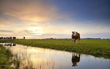 Op retreat in eigen land