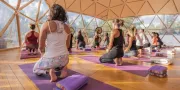 MasQi - The Energy House | Yogaprogramma's
